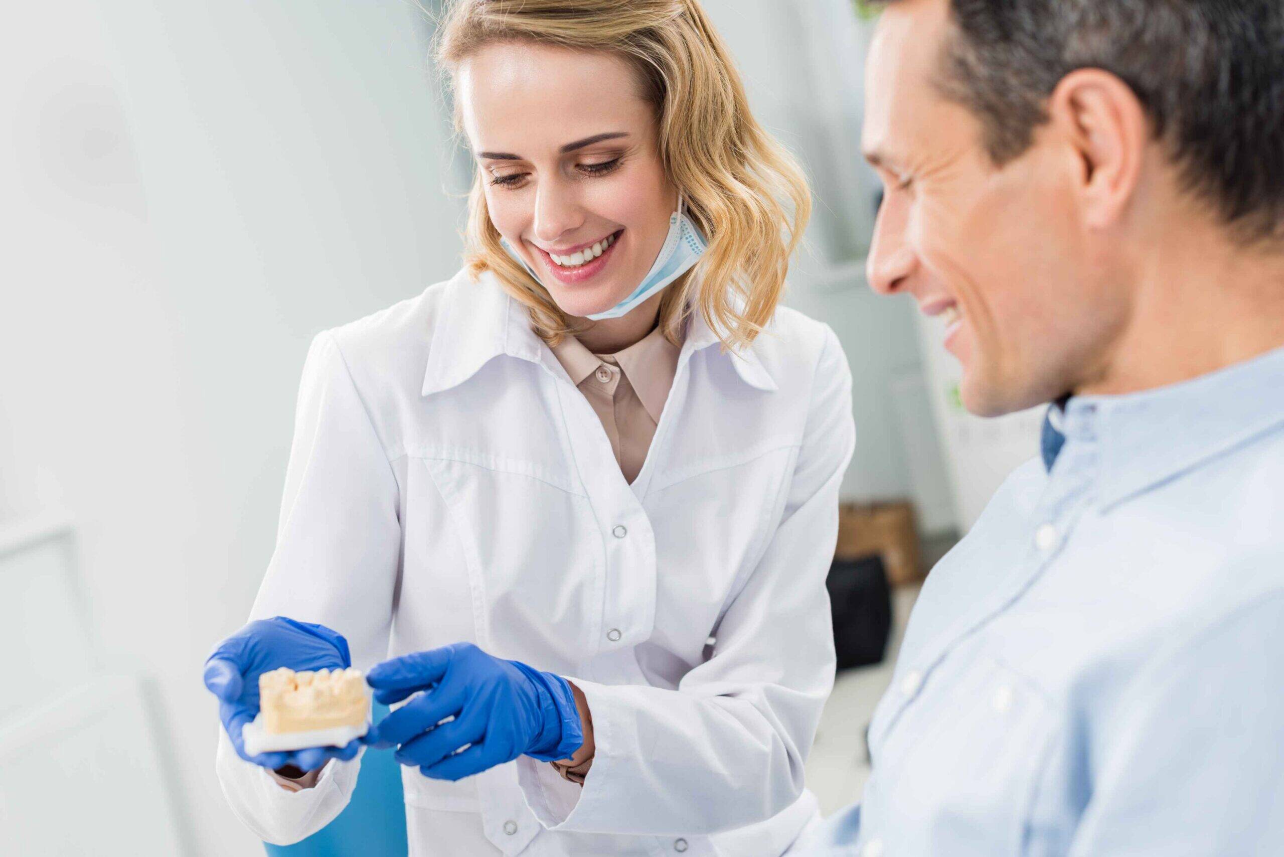 Dentist explaining a dental treatment using a tooth model to a patient.